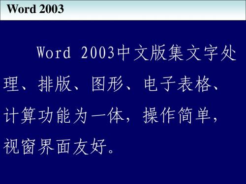 3 WORD 2003