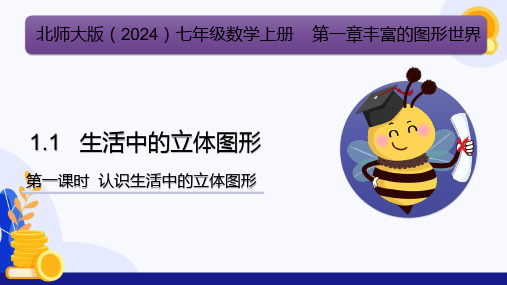 1.1 认识生活中的立体图形(教学课件)(含导入视频)-2024-2025学年七数学上备课备考系列