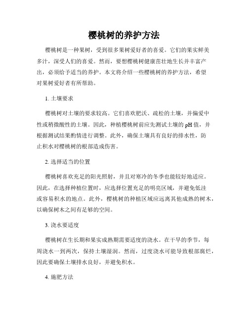 樱桃树的养护方法