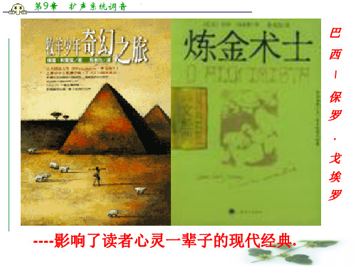 山东省沂水县第一中学高二语文课件：《炼金术士》 人教选修《外国小说》