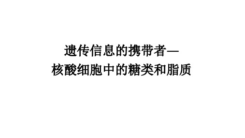 新高考全国通用生物一轮知识点复习1.1.4遗传信息的携带者——核酸 细胞中的糖类和脂质