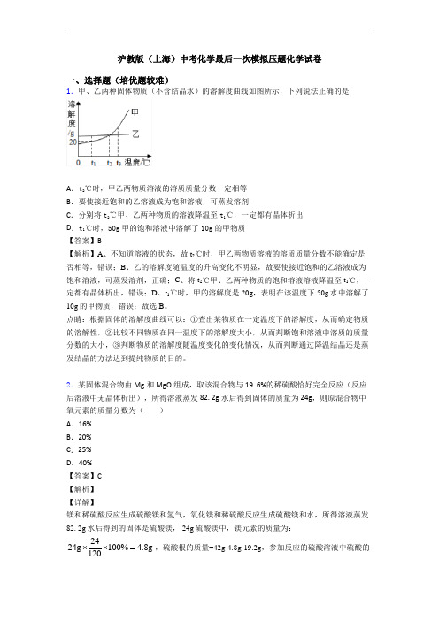 沪教版(上海)中考化学最后一次模拟压题化学试卷