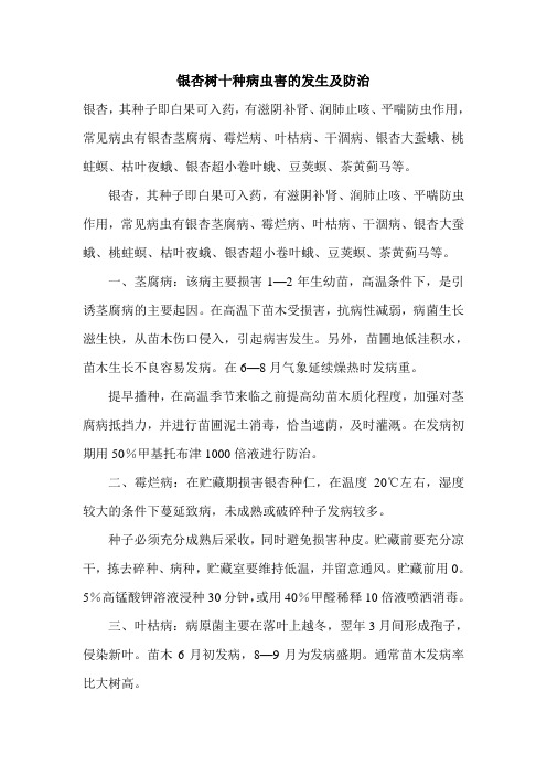 银杏树十种病虫害的发生及防治