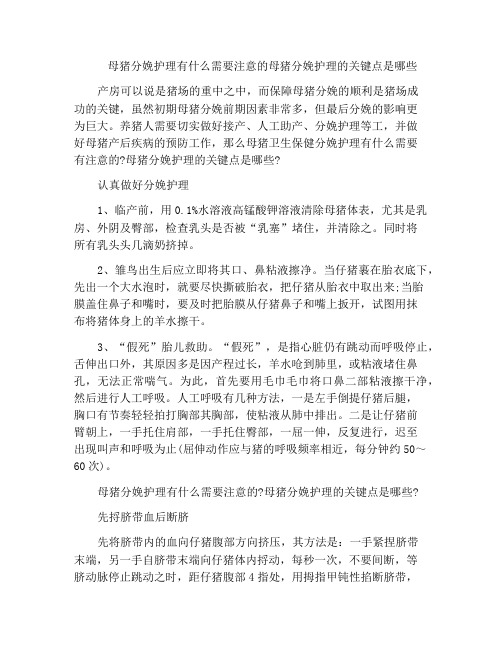 母猪分娩护理有什么需要注意的母猪分娩护理的关键点是哪些