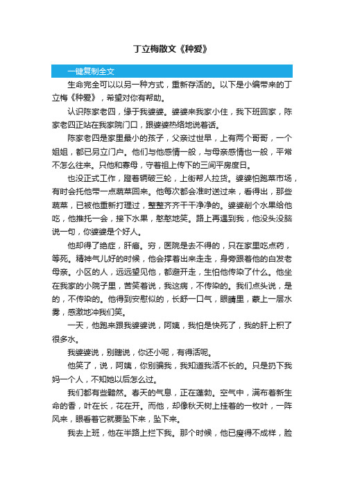 丁立梅散文《种爱》