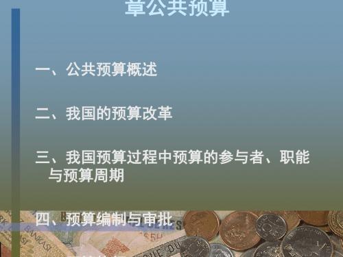 公共预算概述(ppt44张)