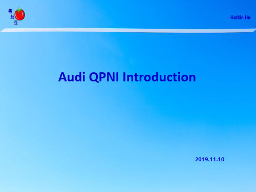 Audi(奥迪) QPNI Introduction(介绍)