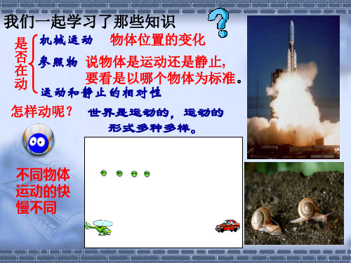  1.3 运动的快慢 课件