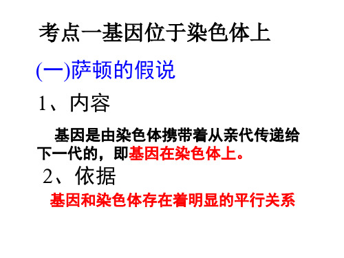 届高考生物一轮复习基因在染色体上与伴性遗传PPT课件