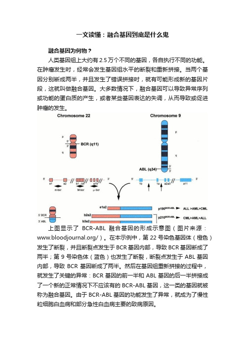 一文读懂：融合基因到底是什么鬼