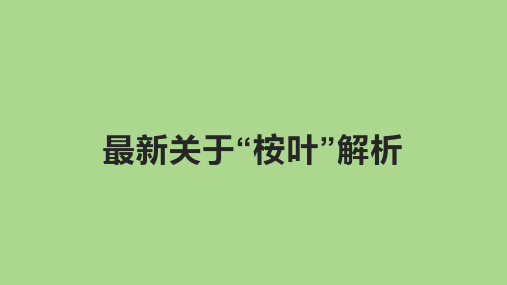 最新关于“桉叶”解析