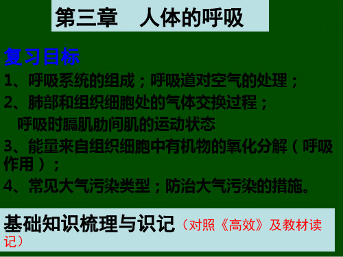 七下生物复习   第三章人体的呼吸