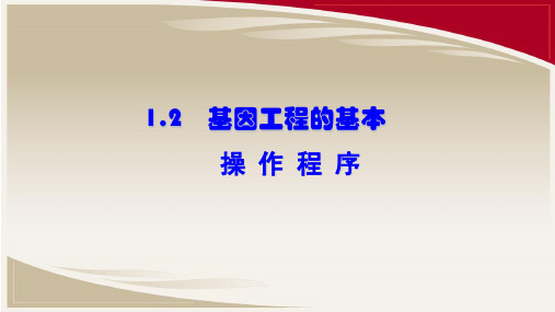 人教版高中生物选修三课件：1-2基因工程的基本操作程序 (共23页)