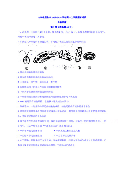 山东省烟台市2017-2018学年高一上学期期末考试生物试题