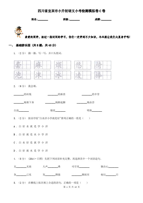 四川省宜宾市小升初语文小考检测模拟卷C卷