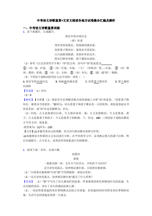 中考语文诗歌鉴赏+文言文阅读各地方试卷集合汇编及解析