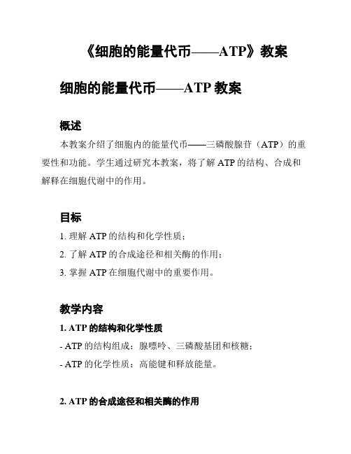 《细胞的能量代币——ATP》教案