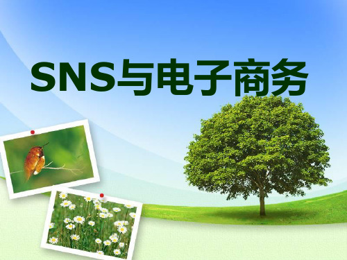 SNS与电子商务