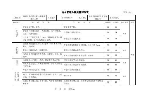 给水管道外观评分表