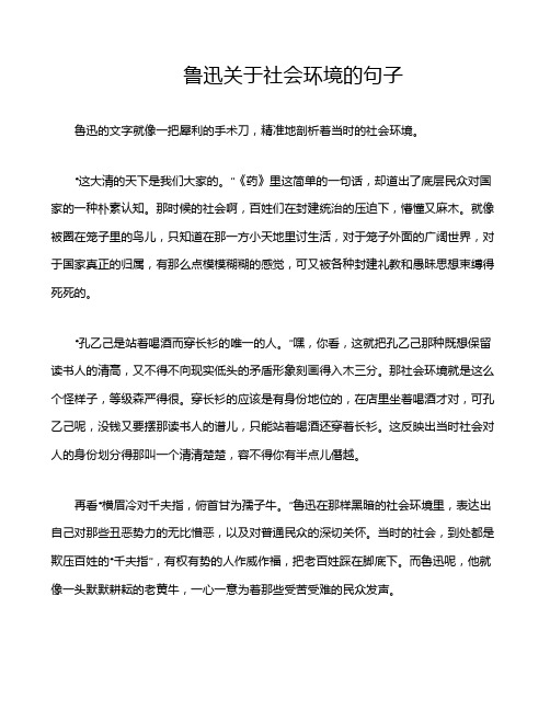 鲁迅关于社会环境的句子