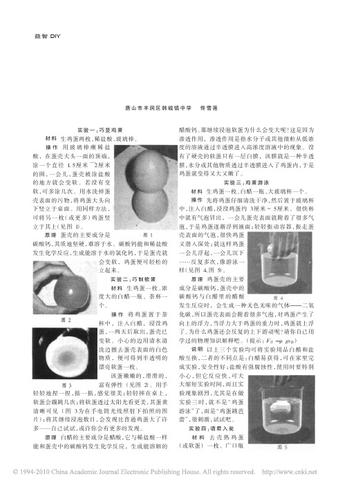 鸡蛋趣味实验五则