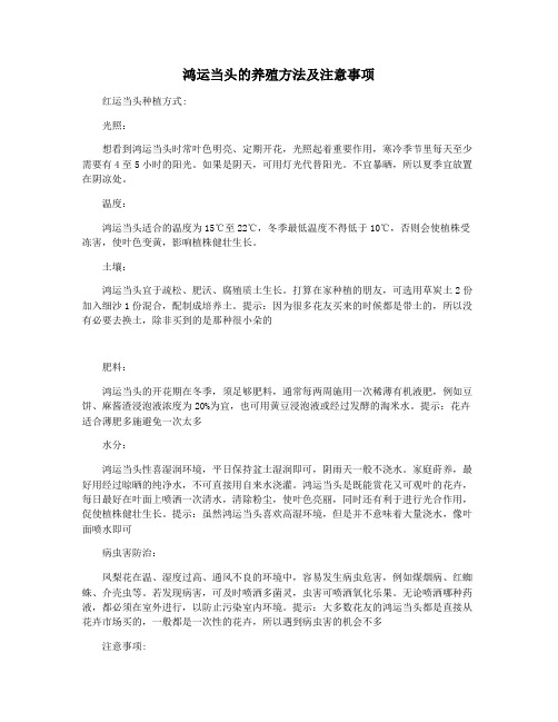 鸿运当头的养殖方法及注意事项