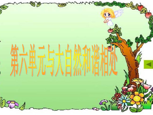 与大自然和谐相处复习课