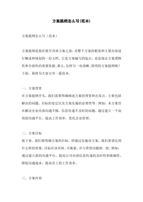 方案提纲怎么写范本