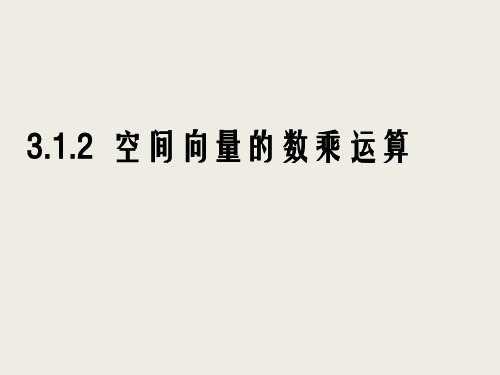 人教A版选修2-13.1.2空间向量的数乘运算课件