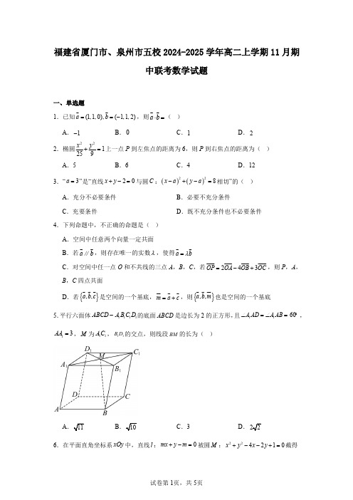 福建省厦门市、泉州市五校2024-2025学年高二上学期11月期中联考数学试题