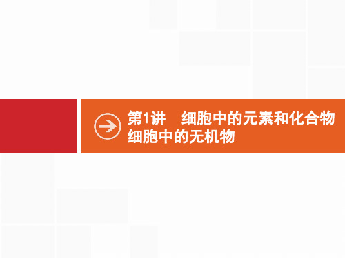 2021版山东新高考生物人教大一轮复习课件：第1讲 细胞中的元素和化合物 细胞中的无机物