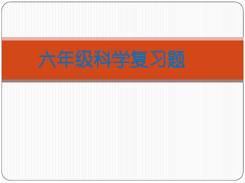 六年级科学上册练习课件   复习题  冀人版   共31张