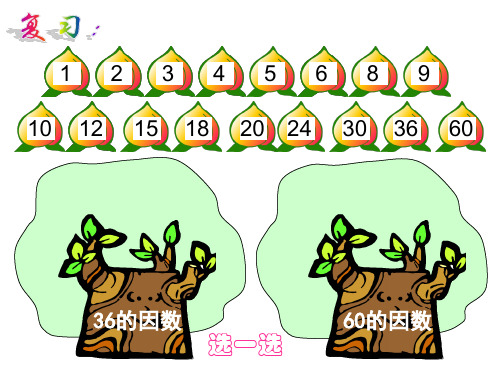 北师大五上数学2和5的倍数的特征课件(29页)