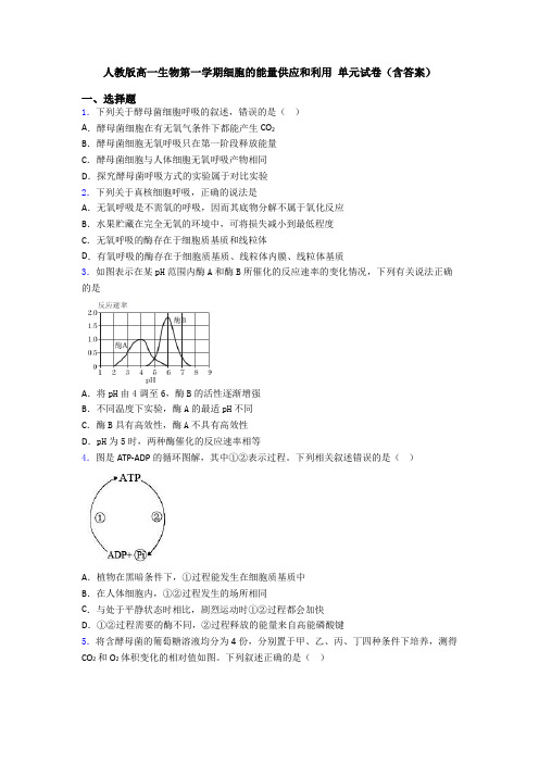 人教版高一生物第一学期细胞的能量供应和利用 单元试卷(含答案)