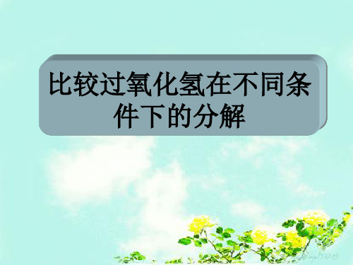 比较过氧化氢在不同条件下分解