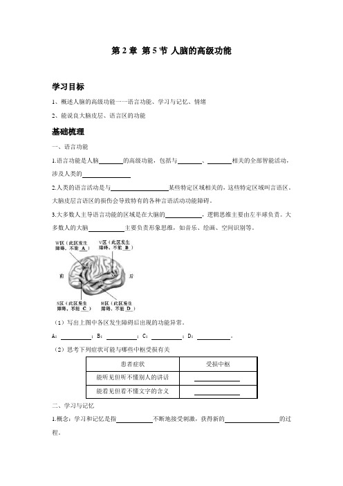 2-5人脑的高级功能(教学学案)高中生物人教版(2019)选择性必修1