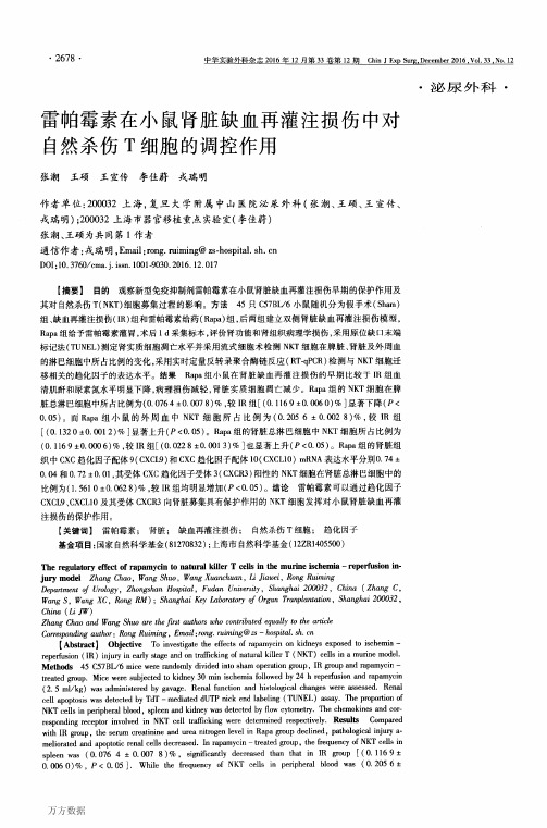 雷帕霉素在小鼠肾脏缺血再灌注损伤中对自然杀伤T细胞的调控作用论文