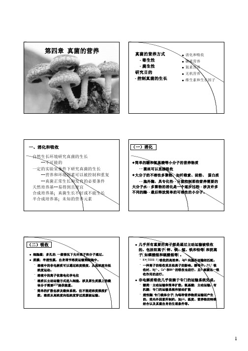 4-真菌的营养