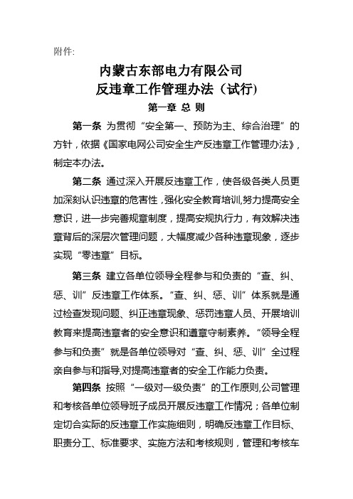 内蒙古东部电力有限公司反违章工作管理办法(试行)