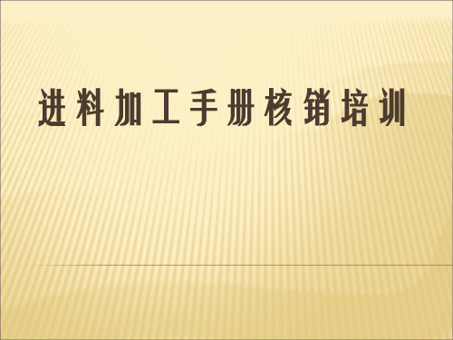 1117手册核销培训精品PPT课件