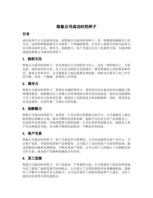 想象公司成功时的样子