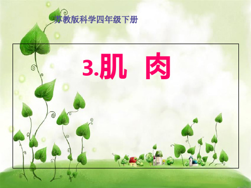 四年级下册科学-肌肉优秀课件苏教版2