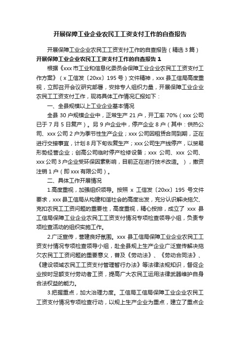 开展保障工业企业农民工工资支付工作的自查报告