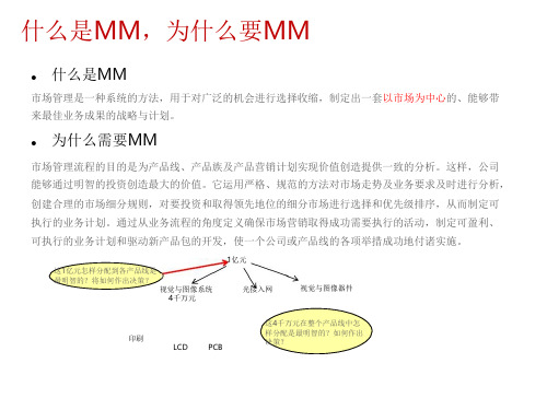 MM市场管理流程ppt课件