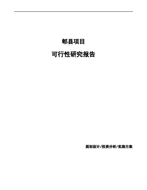 郫县投资项目可行性研究报告