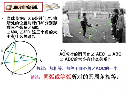 圆周角定理及其运用