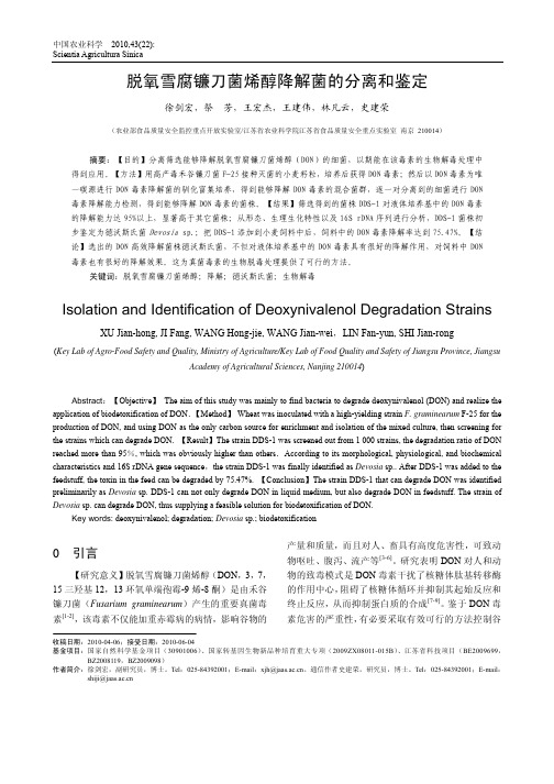 脱氧雪腐镰刀菌烯醇降解菌的分离和鉴定