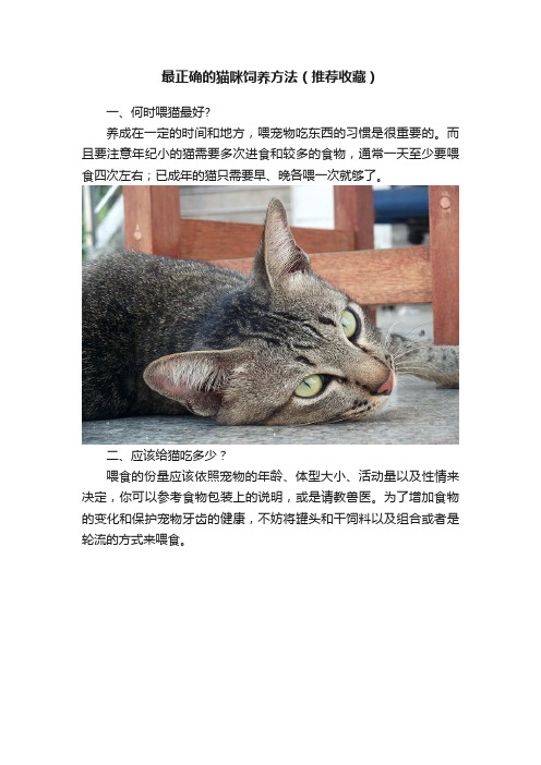 最正确的猫咪饲养方法（推荐收藏）