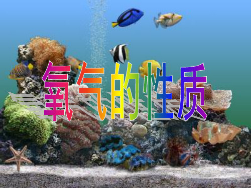 氧气的性质ppt课件