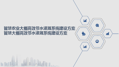 智慧农业大棚高效节水灌溉系统建设方案智慧大棚高效节水灌溉系统建设方案